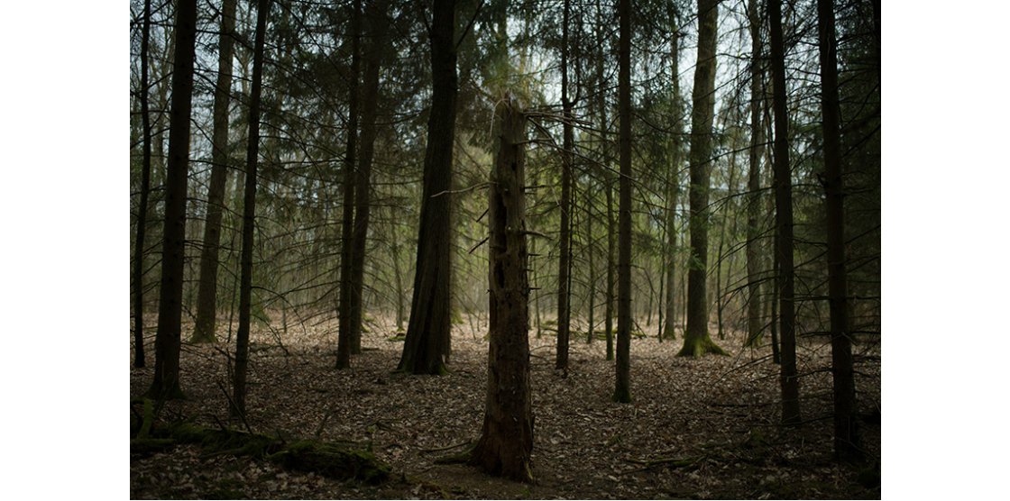 EXPOSITION METZ PHOTO 10.1 / Nathalie DOHLEN “UNE DERNIERE FOIS (FRAGMENTS) ”