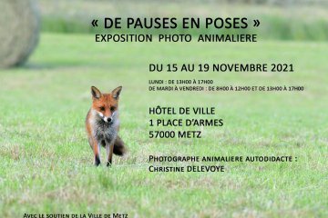 EXPOSITION Photo Animalière - Christine DELEVOYE