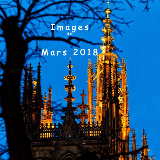 Images du mois de Mars 2018