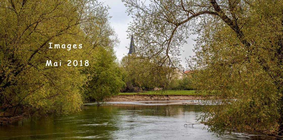 Images du mois de Mai 2018
