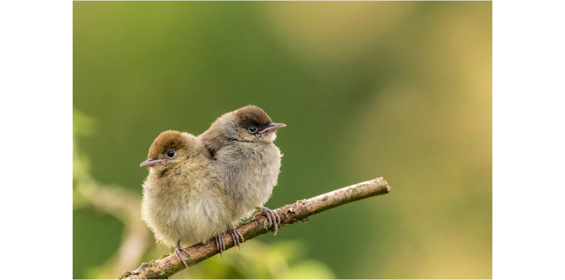 EXPOSITION NATURE NOVEANT