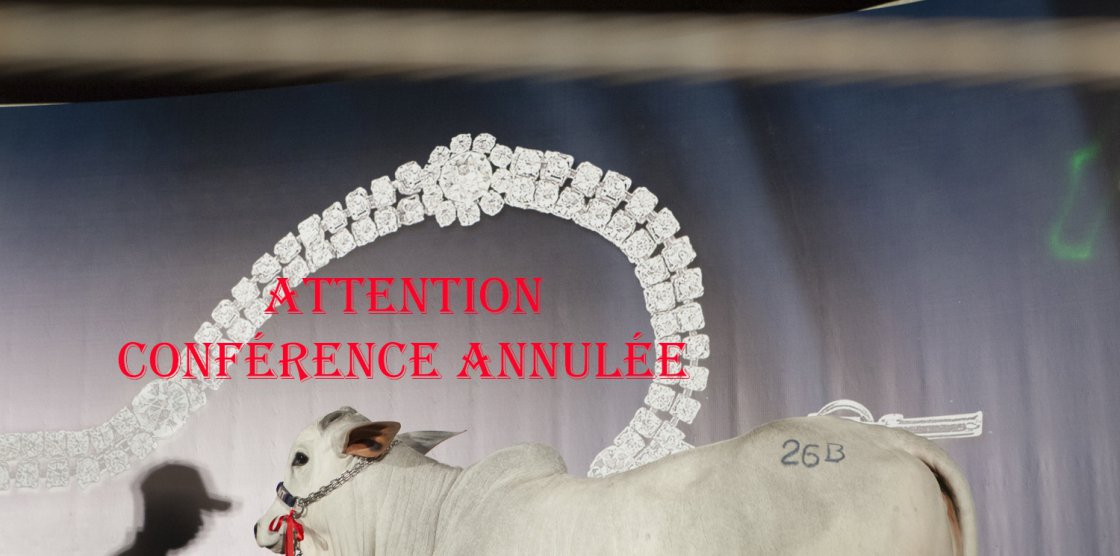 ATTENTION : CONFÉRENCE ANNULÉE - Rencontre avec Carolina ARANTES (Soirée publique au 2e étage)