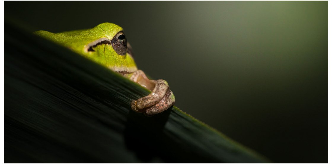 RENDEZ-VOUS MACROPHOTOGRAPHIE ET NATURE
