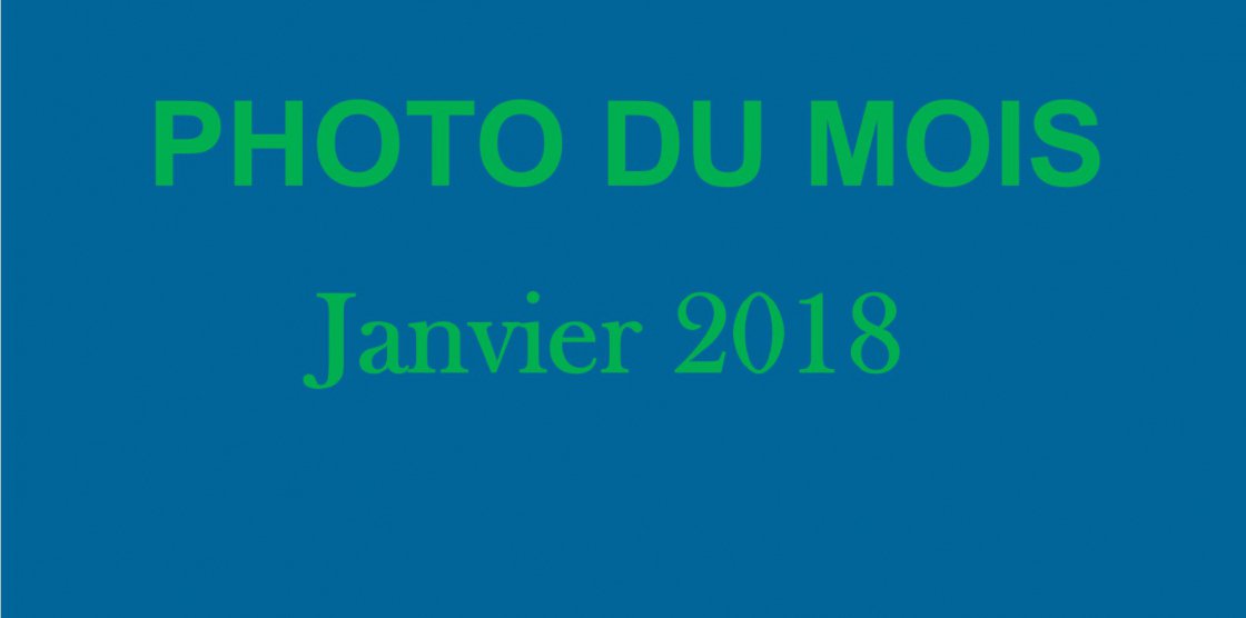 Photo du mois : Janvier 2018