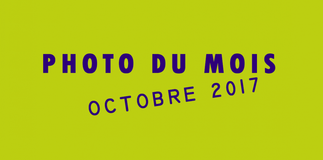 Photo du mois : Octobre