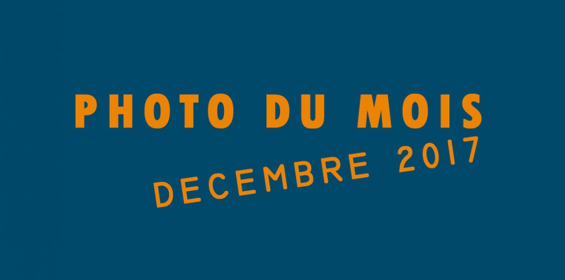 Photo du mois : Décembre