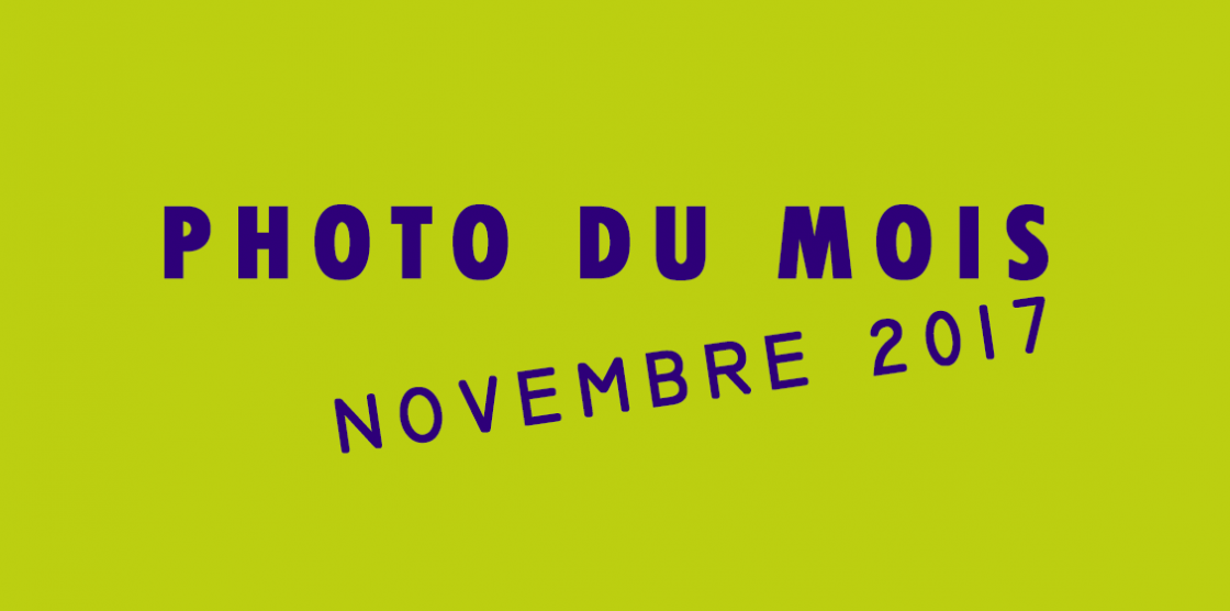 Photo du mois : Novembre