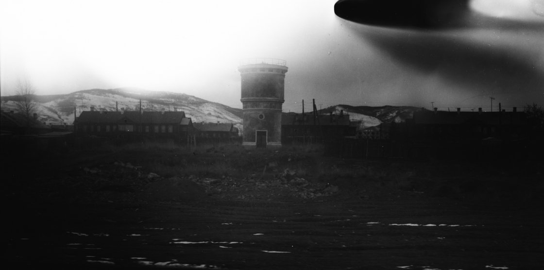 Diana Lui