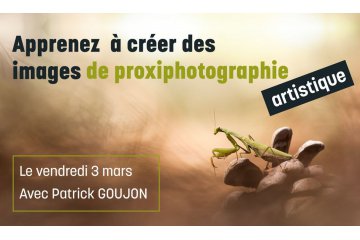 (c) Patrick GOUJON