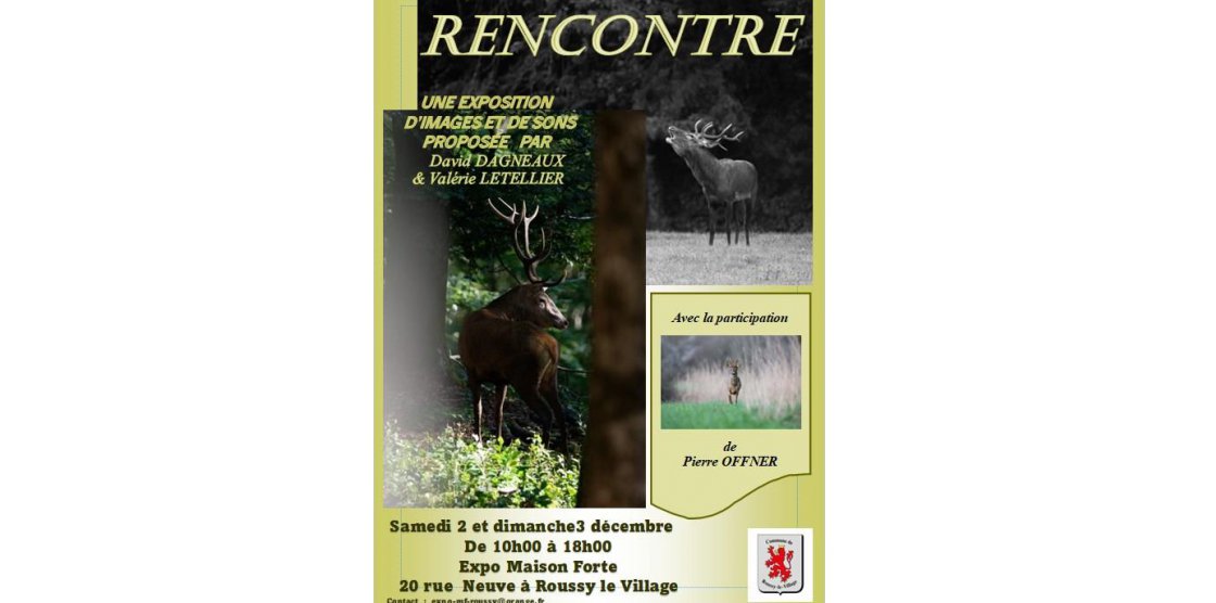 Exposition - Rencontre Avec Le Cerf