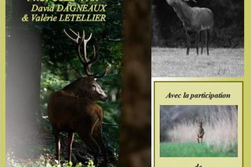 Exposition - Rencontre Avec Le Cerf