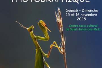 Exposition photo "La boite à images - Saint Julien les Metz