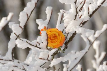Soirée du vendredi : Manifeste photo Emmanuel Lucas