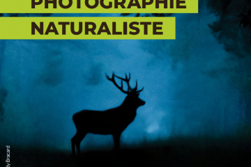 Déclic Nature