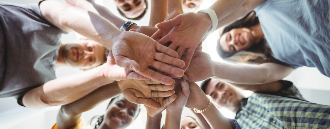 Présentation des groupes