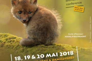 Exposition "Festival Photo Déclic Nature" à Blainville-sur-l'Eau (54)